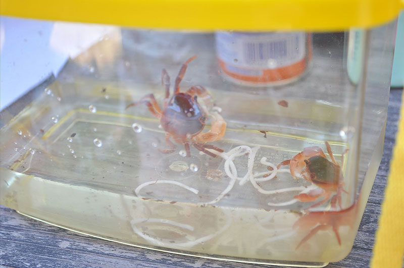 http://www.u-genki.jp/20120729_03_48.jpg