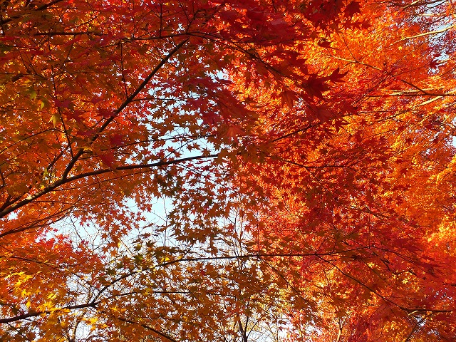 http://www.u-genki.jp/DSCF8238.jpg