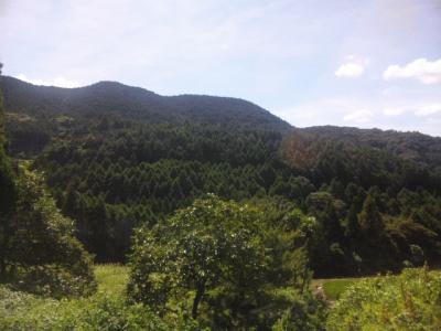 DVC00117.jpg