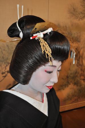 geiko 11.JPG