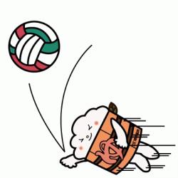 reyu_volleyball_31.jpg