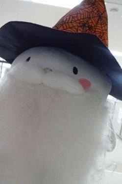 re.halloweenyutturakun.jpg