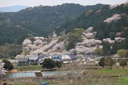 re.kurashikankou.shiota202305-30.jpg