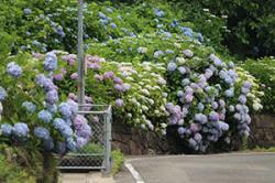 re.azegawashi202406-10.jpg