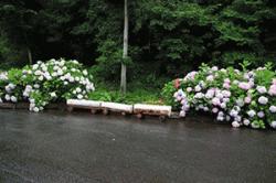 re.azegawashi202406-2.jpg