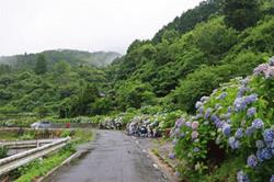 re.azegawashi202406-6.jpg