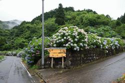 re.azegawashi202406-7.jpg
