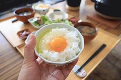 re.bunkoustayharuhilunchi202502-7.jpg