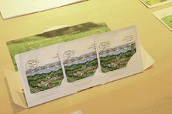 re.greenletter202503-11.jpg