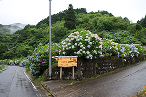 http://www.u-genki.jp/re.azegawashi202406-7.jpg