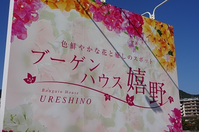 http://www.u-genki.jp/re.bougainhouseureshino1.jpg