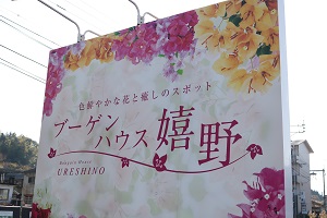 http://www.u-genki.jp/re.bougainureshino1.jpg