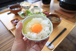 http://www.u-genki.jp/re.bunkoustayharuhilunchi202502-7.jpg