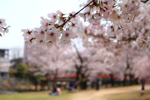 http://www.u-genki.jp/re.onsenkoen20200310-3.jpg