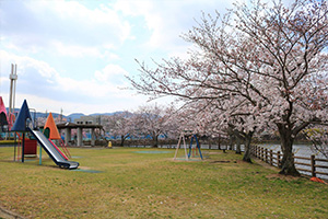 http://www.u-genki.jp/re.sakura2019takanosu0331-1.jpg