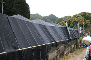 http://www.u-genki.jp/re.ureshinocha202409-4.jpg