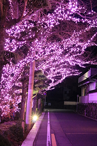 http://www.u-genki.jp/re.yoshidayasakura201812-2.jpg